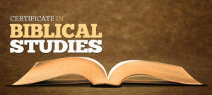 biblical studies