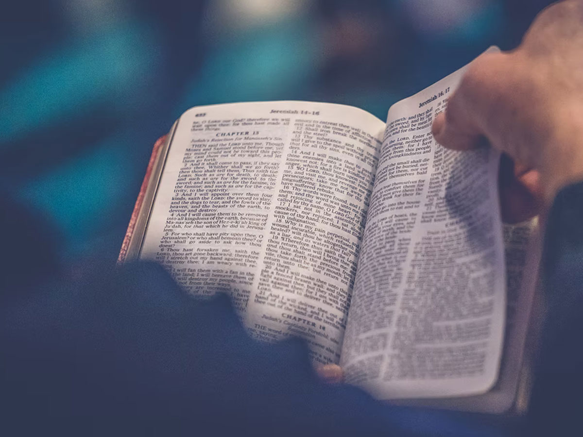 Image of someone reading their bible